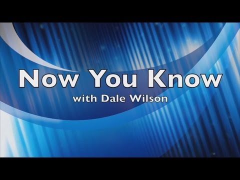 Now You Know Now You Know